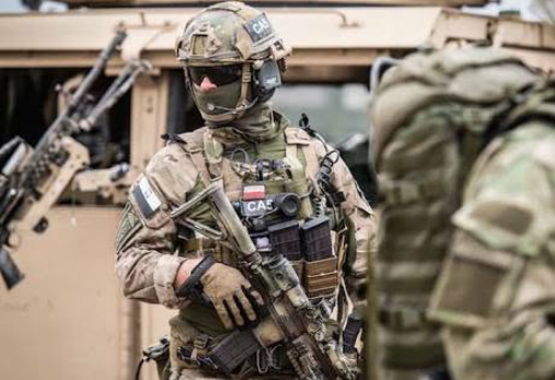 Armed Escort Units